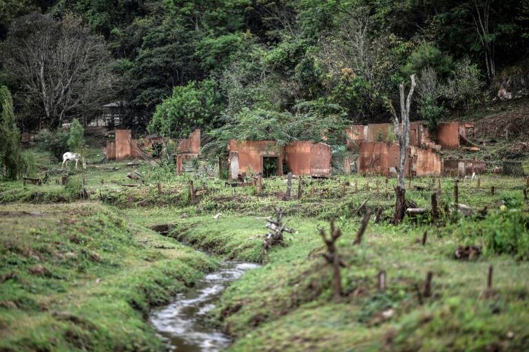 Brasil,juicio,medioambiente,contaminación