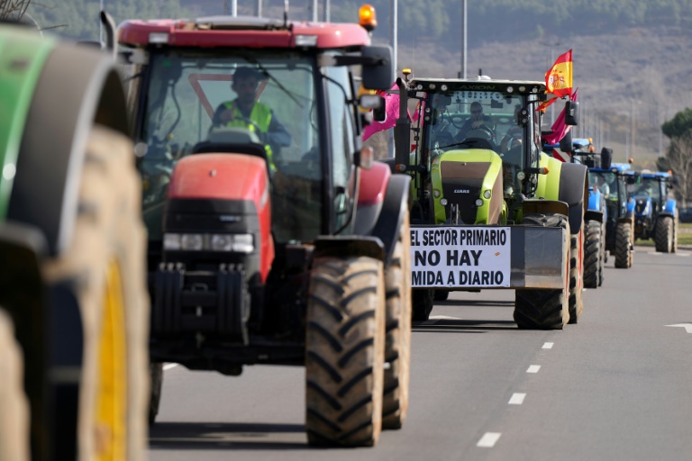 Espaa - sindicatos - manifestaciones - social - agricultura