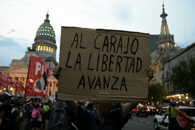 Argentina,gobierno,legislacin,economa