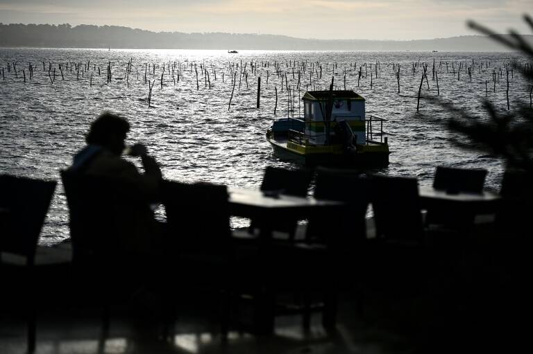 UE - justicia - pesca - medioambiente - ocanos