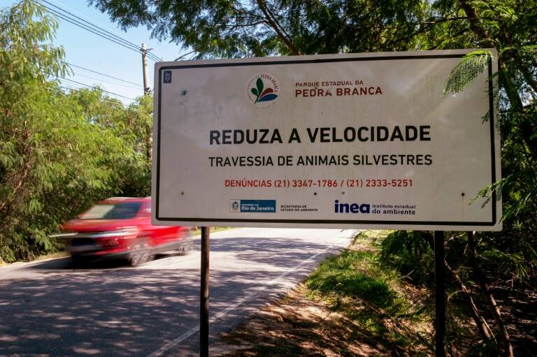 noticia