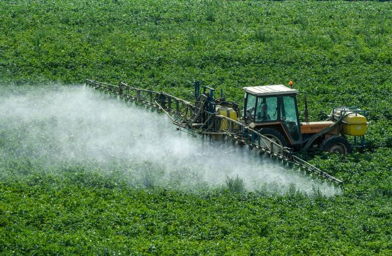 agricultura,materias,primas,química,cultivos,contaminación,salud