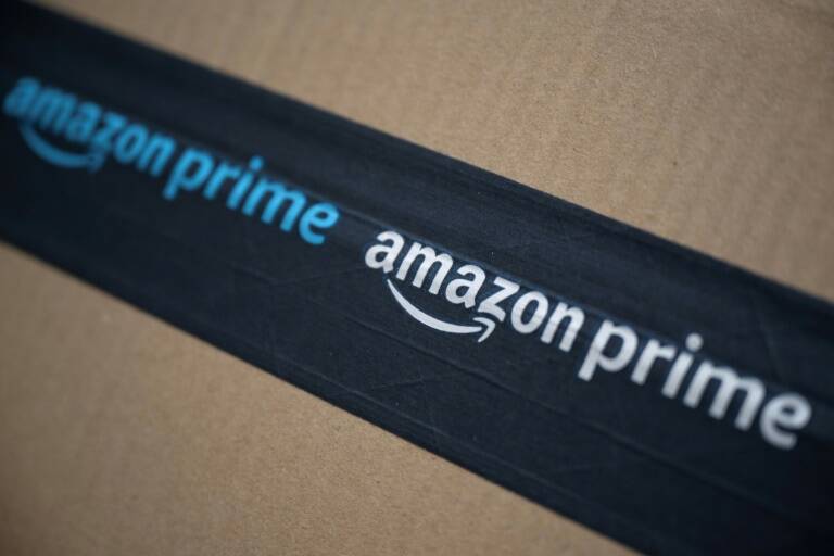 US,animal,Amazon,offbeat