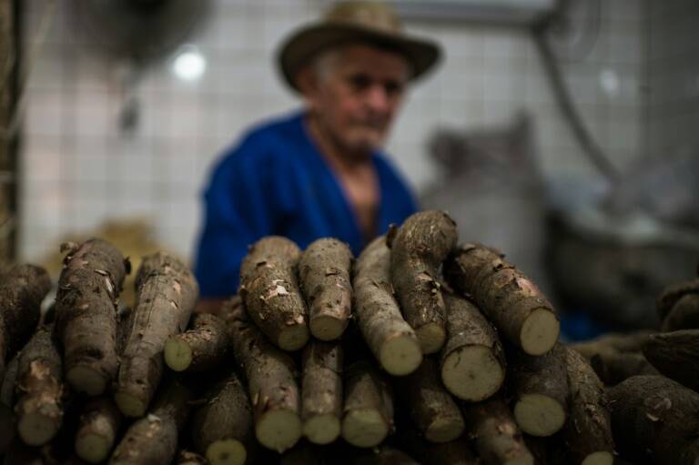 Francia,GuayanaFrancesa,Brasil,agricultura,alimentos,salud