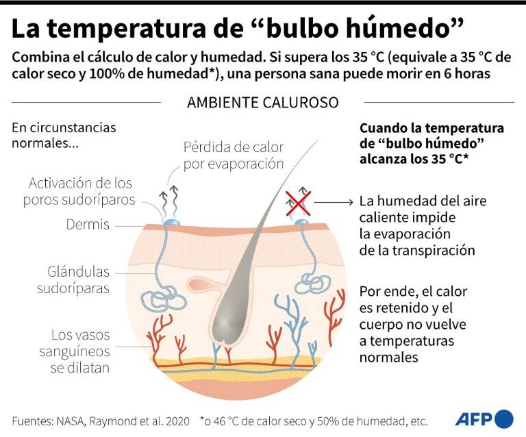 noticia