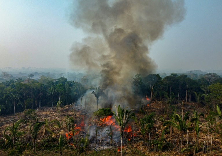 Brasil - incendios - Amazona - clima - medioambiente - economa - ganadera - agricultura - gobierno