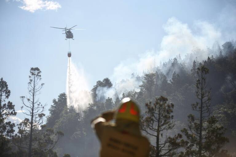 Argentina,incendios,emergencia,bosques