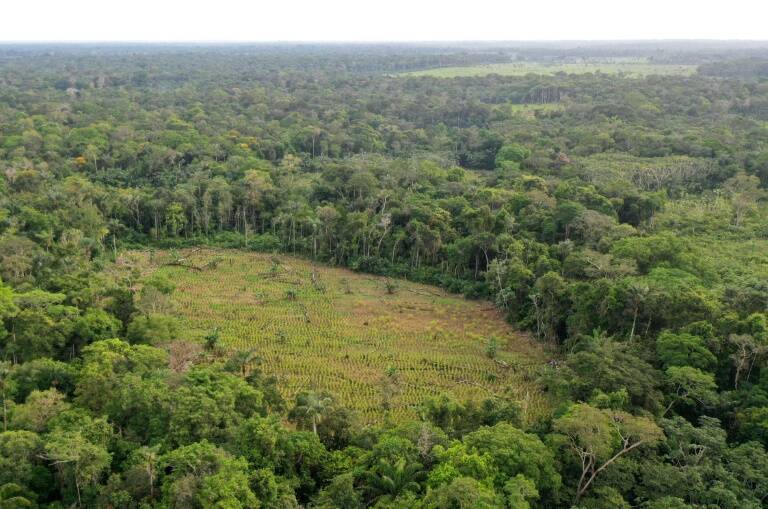 Colombia,medioambiente,conflicto,guerrilla,paz,gobierno