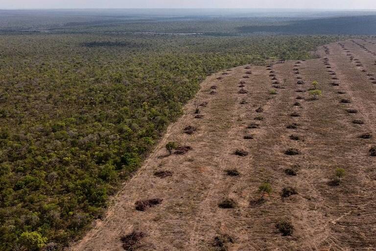 Brasil,huelga,medioambiente