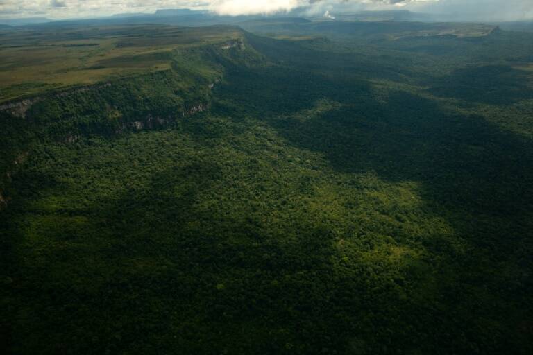 Guyana,Esequibo,Venezuela,empresas