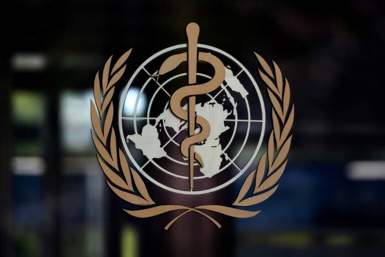 OMS,salud,cáncer