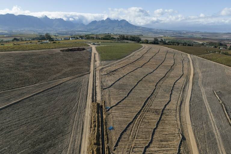 Sudáfrica,clima,vinicultura,medioambiente