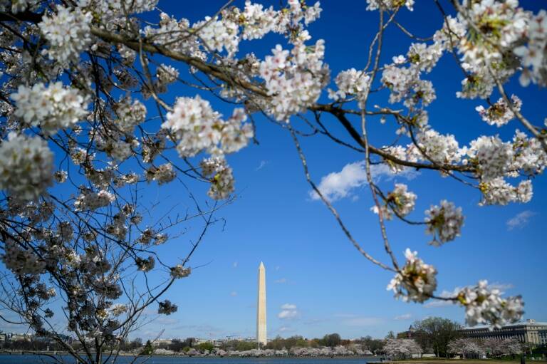 environnement - nature - climat - USA