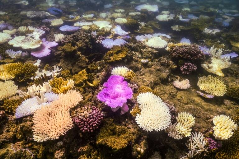 Australia,medioambiente