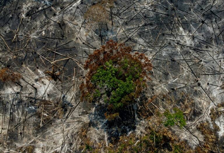 Brasil,clima,medioambiente