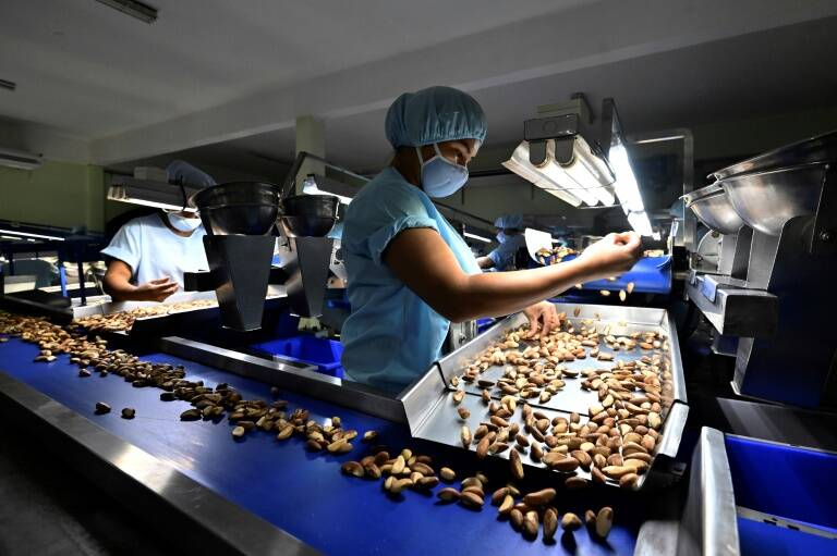 medioambiente,economía