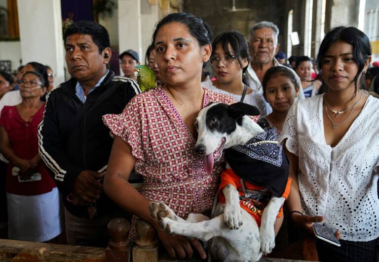 Nicaragua,tradición,perros