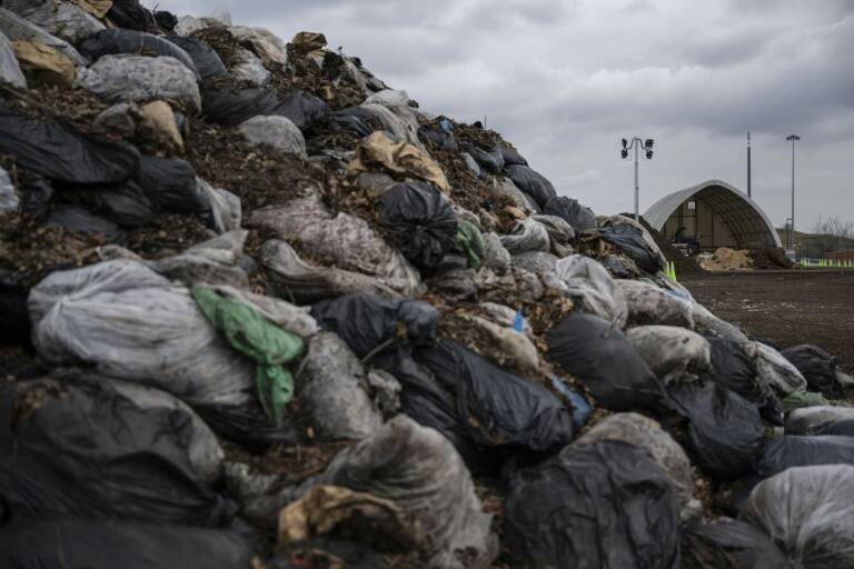 EEUU,desechos,elecciones,urbanismo,basura,reciclaje,medioambiente,ecología