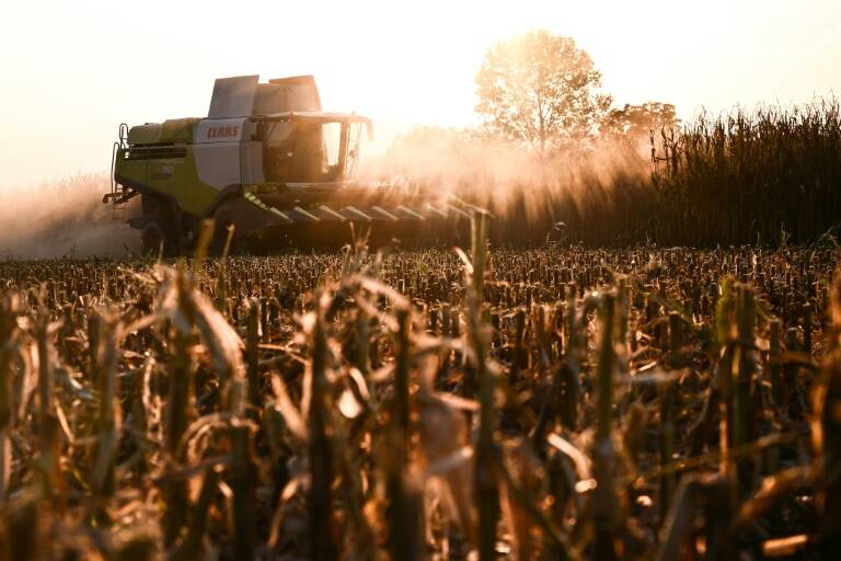 materias,primas,indices,cultivos,agricultura,macroeconomía,EEUU,Brasil