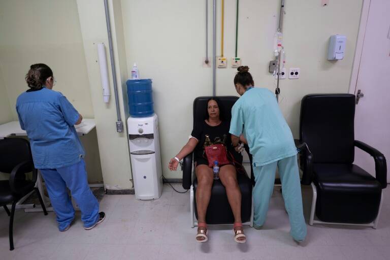 enfermedad,Brasil,salud,dengue,gobierno