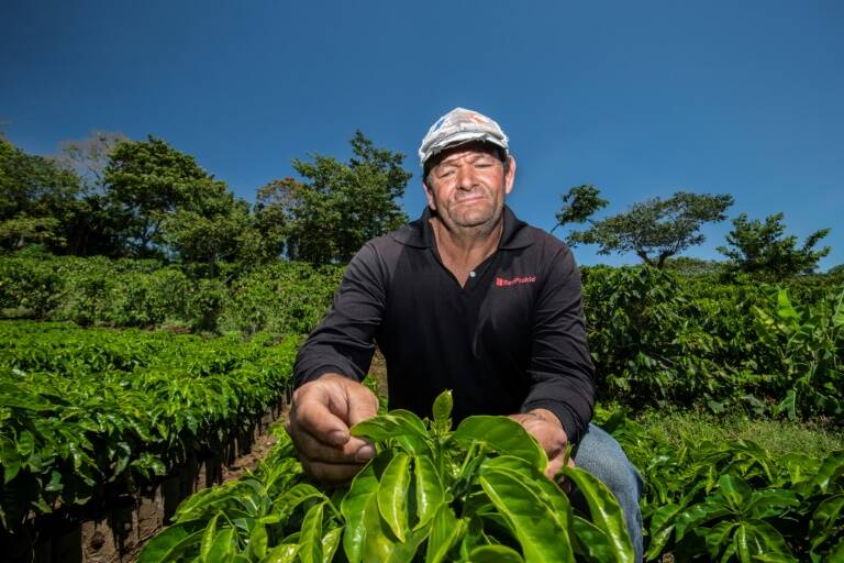 café,agricultura,ciencia,medioambiente,ciencias,café,agricultura,ciencia,medioambiente,ciencias,Costa Rica,café,agricultura,ciencia,medioambiente,ciencias,Costa Rica