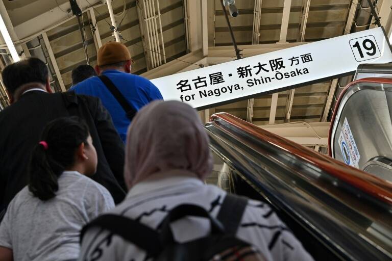 Japan,animal,offbeat