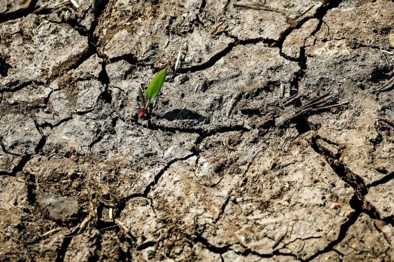 Maroc,météo,climat,sécheresse,agriculture,commerce