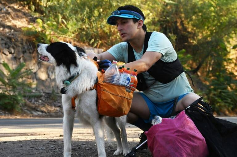 Chile,medioambiente,basura,animales