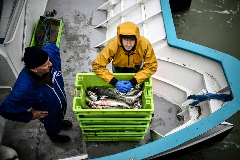 environment,fishing,animal,economy,aid