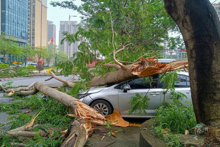 Chine,météo,inondation,climat,assurances,économie