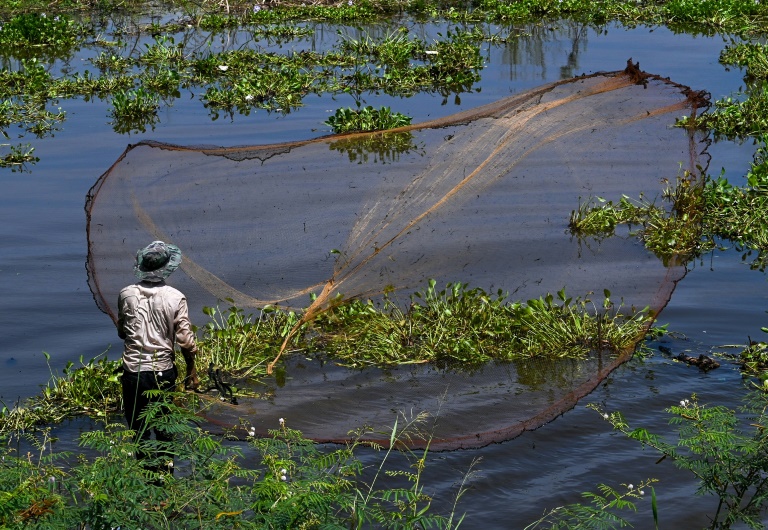 Vietnam - Camboya - medioambiente - ros - ecologa - Tailandia - China - contaminacin - Laos