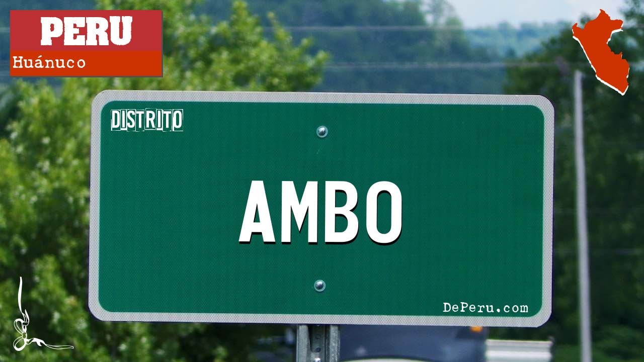 Ambo