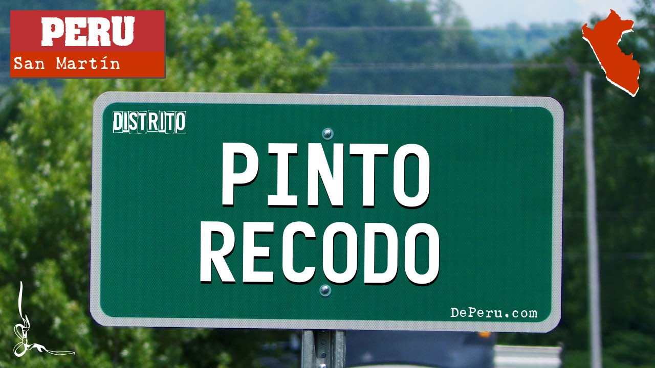 Pinto Recodo